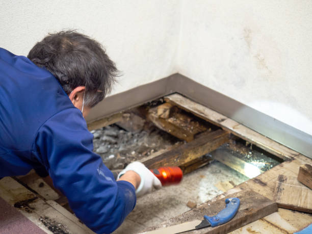 Best Mold Testing and Inspection Services in Sandersville, GA