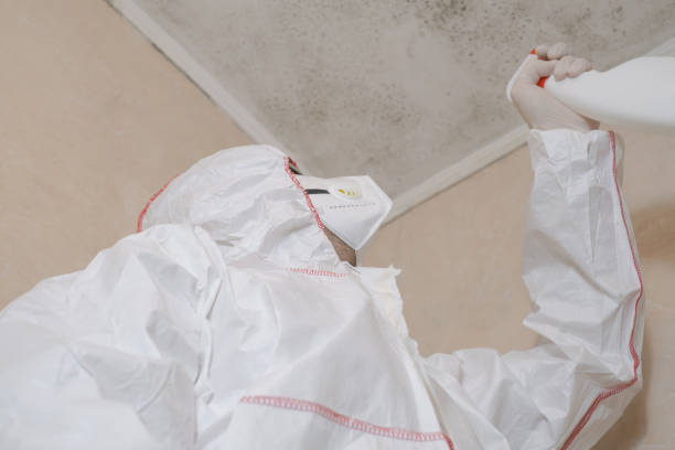  Sandersville, GA Mold Removal Pros